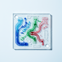 Pièces acryliques personnalisées pour la science de la vie, moulées par injection, avec cœur fluide, usinées CNC, moule médical, puce microfluidique, détection génétique, ISO