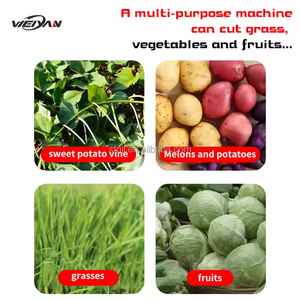 Mayorista Cortador <span class=keywords><strong>de</strong></span> Verduras Multifuncional China Mejor Ajo Chile Cúrcuma <span class=keywords><strong>Cebolla</strong></span> Champiñón <span class=keywords><strong>Tomate</strong></span> Chopper - Product Image 3