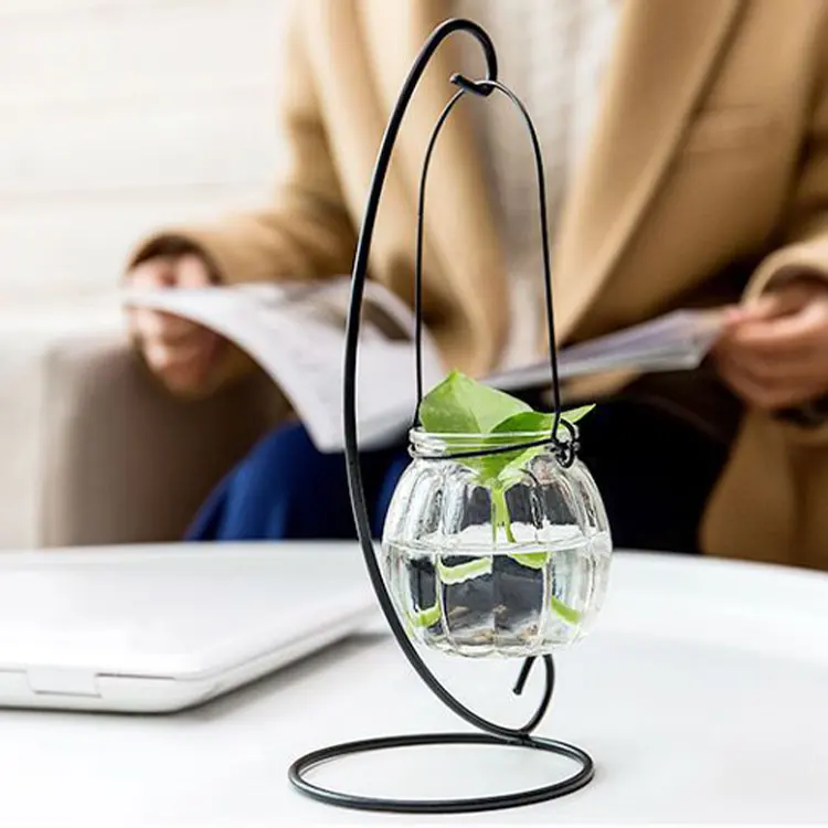 Criativo hidropônico garrafa planta transparente vidro vaso recipiente vaso flor tanque peixes ornamentos utensílios