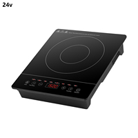 Cuisinière à Induction Solaire Portable 24V à Foyer Unique 600W Haute Puissance pour Maison, Camping-Car et Voiture - Prise US