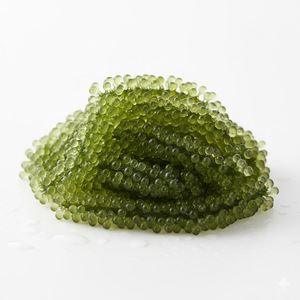 TW Sea Grapes PDRN, Concentrado de Polinucleótidos de Alta Pureza a Base de Plantas Marinas, Materia Prima Cosmética para Reparación Profesional de la Piel - Product Image 4