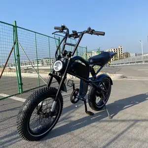Easy Rider Electric Bike 1000w Electric Chopper Bike Motorcycle Electric Bicycle