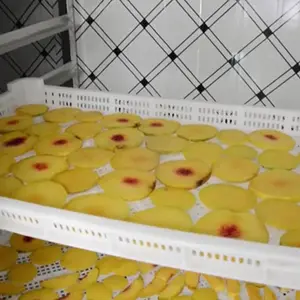 Industrielle Trocken maschine aus Edelstahl zum Verkauf Obst trockner Trockner Trockner