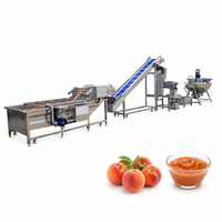 Volledig automatische industriële machine voor het maken van saus, ketchup, fruitjam en kleine tomatenpuree productielijn