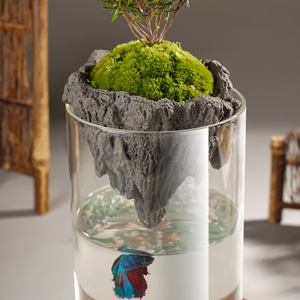 उच्च ग्रेड पारदर्शी ग्लास <span class=keywords><strong>vase</strong></span> सूक्ष्म परिदृश्य पारिस्थितिक हाइड्रोपोनिक बोतल शादी के लिए सरल प्राचीन डिजाइन - Product Image 1