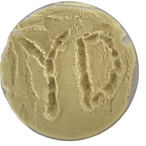 Coagulante de <span class=keywords><strong>Sulfato</strong></span> Férrico Certificado por la NSF (Producción de Ácido Fresco) |   Estándar AWWA B406 - Product Image 1