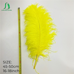 65-70cm pennacchio di struzzo bianco grandi <span class=keywords><strong>piume</strong></span> Decorative <span class=keywords><strong>piume</strong></span> di struzzo SA di alta qualità per la decorazione di carnevale del vaso della casa del Festival - Product Image 3