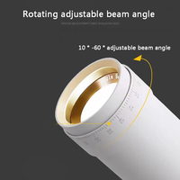 Utilisation optimale de la lumière, zoomable 10x ° -60 °   Projecteur LED sur rail à angle de faisceau réglable, multi-CCT 2700K-6500K, pour exposition en musée