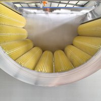 Industriële borstelrolwasmachine voor fruit- en groenteverwerkingslijn, multifunctioneel SCHILLEN