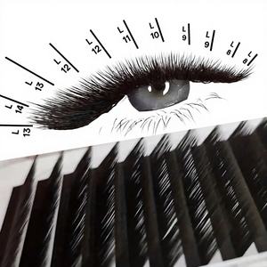 Dragon 0.07 l Curl Lash Extensions All Curl J B C CC D DD L LC avec 6-25mm Matte Black Cashmere Lash Extensions Volume Trays - Product Image 1
