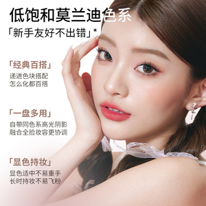 Precio al por mayor de la paleta de sombras de ojos VEECCI Dream Ten Colors, la selección de colores es muy fácil de aplicar. - Product Image 6