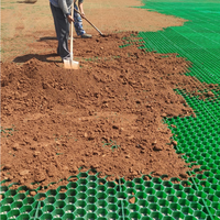Grille de protection populaire en HDPE pour pelouse verte, allées de stationnement et extérieurs