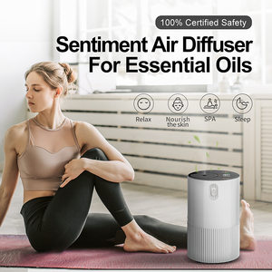 Portable USB Rechargeable Électrique Atomiseur Mini Maison Voiture Aromathérapie Diffuseur Sans Eau pour Huiles Essentielles - Product Image 3