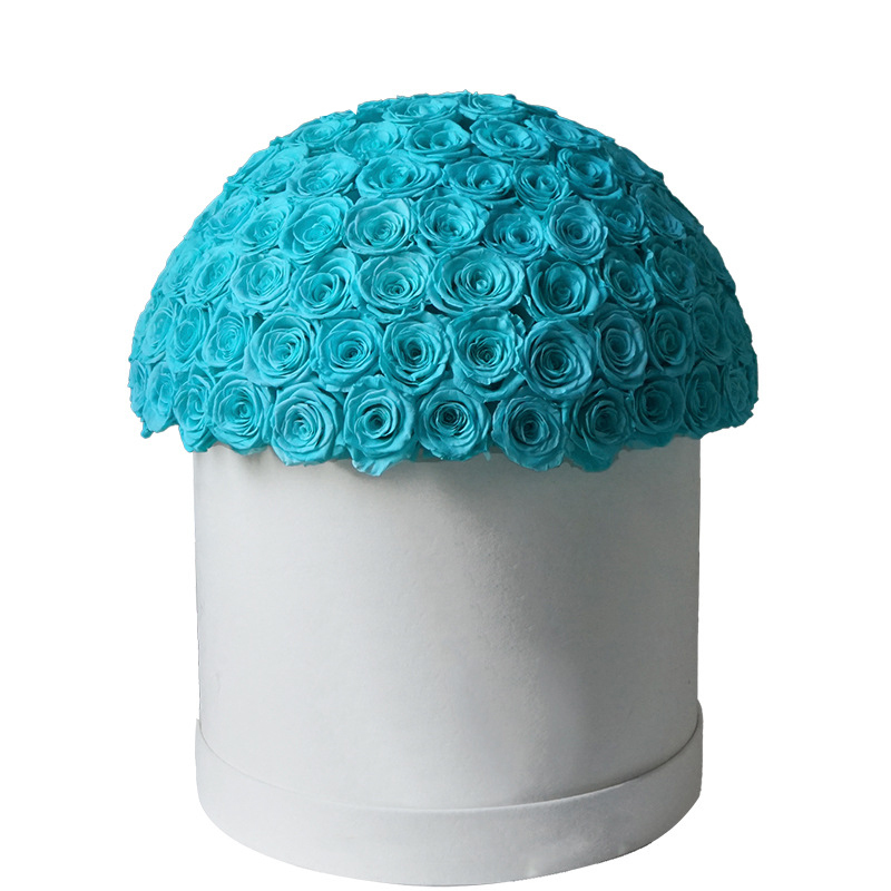 Scatola a cupola rosa da 25 cm