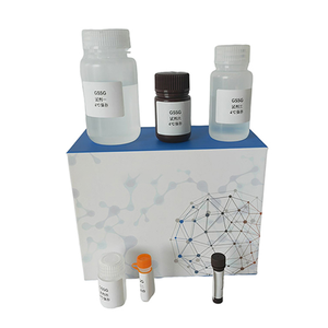 박테리아 생물학 연구를위한 하이 퀄리티 그램 염색 시약 키트 - Product Image 3