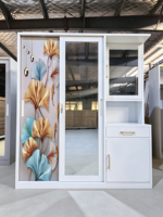 Armoire élégante en acier imprimé feuille de Ginkgo avec miroir et penderie, armoire métallique moderne à 2 portes coulissantes pour chambre à coucher