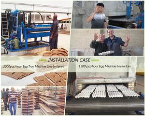 Machine de fabrication de cartons à œufs de 3000 pièces avec séchage des briques - Product Image 3