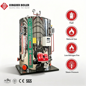 Chaudière à vapeur mini verticale LHS au <span class=keywords><strong>gaz</strong></span> naturel, diesel ou GPL de 300 kg, 200 kg, 150 kg, 100 kg – <span class=keywords><strong>Prix</strong></span> du générateur/chaudière à vapeur verticale - Product Image 1