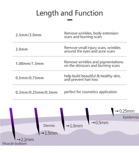 Rouleau <span class=keywords><strong>Derma</strong></span> à Micro-aiguilles 2 en 1 avec Rouleau en Jade et Acier Inoxydable ABS pour Soins de la Peau - Product Image 5