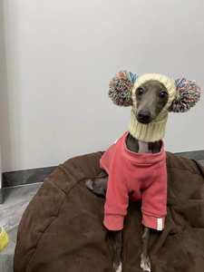 Chapeau pour chien en laine pure tricoté à la main pour les lévriers italiens et les whippets, toutes saisons - Product Image 4