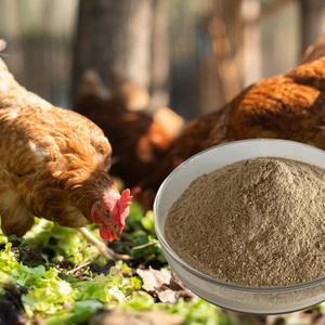 Axit lactic cao và canxi lactate gia cầm Bổ sung lớp gà mái vitamin khoáng chất premix cho thức ăn cho gà - Product Image 4