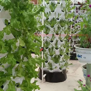 Aquaponics หอปลูกสับปะรดเรือนกระจกในฟาร์มปลูกพืชไร้ดินระบบสวนแนวตั้ง