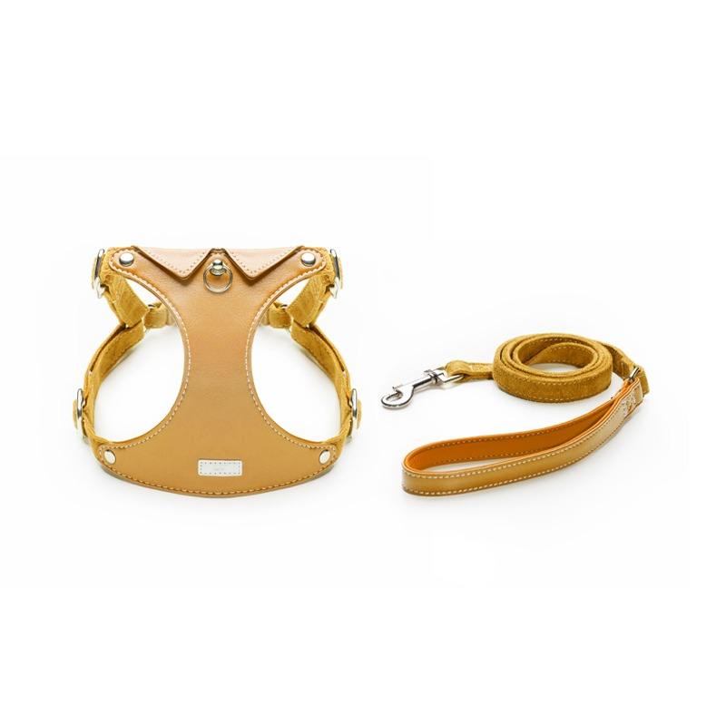 สีเหลือง