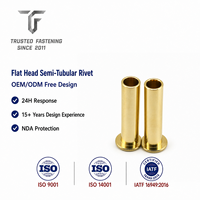 Rivets semi-tubulaires à tête plate en laiton TianFang pour étiquettes de rayonnages, nickelés, outillage personnalisé et approvisionnement en vrac