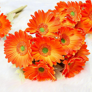 Simulation <span class=keywords><strong>de</strong></span> bouquet <span class=keywords><strong>de</strong></span> fleurs en PU <span class=keywords><strong>Gerbera</strong></span> <span class=keywords><strong>de</strong></span> haute qualité V05 Vente en gros <span class=keywords><strong>de</strong></span> fleurs artificielles décoratives <span class=keywords><strong>Gerbera</strong></span> Daisy pour mariage à la maison - Product Image 2