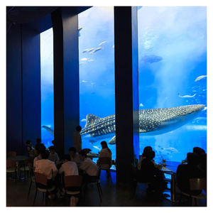 Prix de gros transparent 8m de haut grand mur commercial <span class=keywords><strong>aquarium</strong></span> acrylique panneau feuille poisson <span class=keywords><strong>aquarium</strong></span> réservoir - Product Image 5