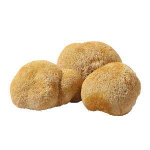 Экстракт гриба - Product Image 3