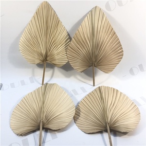 Z3467 Entrega Rápida, Hojas Secas Artificiales Decorativas, Hojas de <span class=keywords><strong>Palma</strong></span> Preservadas para Decoración de Escenarios - Product Image 2