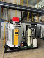 Chaudière commerciale à économie d'énergie de 100 kg de capacité, au fioul léger, au gaz naturel ou au GPL, pour usine de fabrication de chaussettes