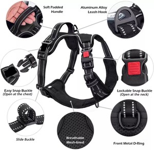 Individuelles Set mit Sicherheitsgurt, Faltnäpfen, Kotbeutelspender, Hundehalsband, Leine und Geschirr mit Messingbeschlägen für das Hundetraining - Product Image 5