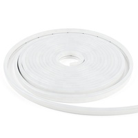 Bande LED néon en silicone RVB double face électro-plaquée 12V/24V 6*12mm étanche RVB couleur magique LED 3535 pour l'éclairage paysager