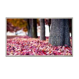 Pantalla a Color TFT IPS de 32 Pulgadas, 1920*1080 Full HD, Interfaz de Señal LVDS, Luminancia de 1000cd/m² - Product Image 4