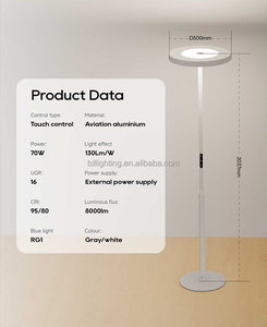 Lampadaire au design original, best-seller, prix de gros, certifié CE FCC, garantie 3 ans, OEM/ODM - Product Image 6