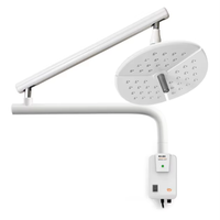 400 LED CE Marqué Vétérinaire Lumière Chirurgicale Murale Médicale OT Lampe D'opération pour Procédure Orale Source D'énergie Électricité