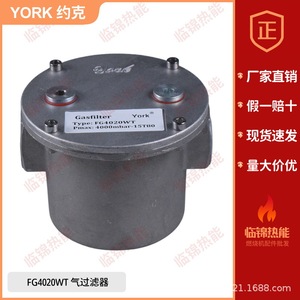 Filtros Roscados/Con Brida YORK Nuevos FG4015 4025 4040 4050WT para Gas Natural, Aplicaciones Farmacéuticas, Agrícolas e Industriales - Product Image 1