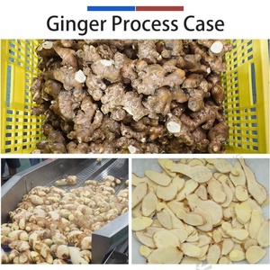 Factory Root <b>Vegetable</b> <b>Production</b> Line Taro Jicama Beets Horseradish Ginger Washing Peeling Blanching Cutting Machsine - Product Image 4