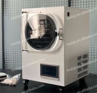 DZJX 1kg-6kg Kleine Mini Commerciële RVS Vacuümvriesdroger/Lyofilisator Droogmachine 220-240V
