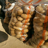 Sac en plastique tissé transparent PP de 25 kg et 50 kg pour l'emballage des pommes de terre, des oignons, des fruits et des légumes