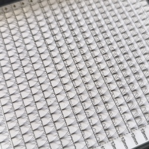 Nuovo Confezione XXL Vassoio Grande 440 Ventaglietti Ciglia Finte Premade 3D 4D 5D 6D 0.07mm Curvatura CC D L M Etichetta Privata - Product Image 2