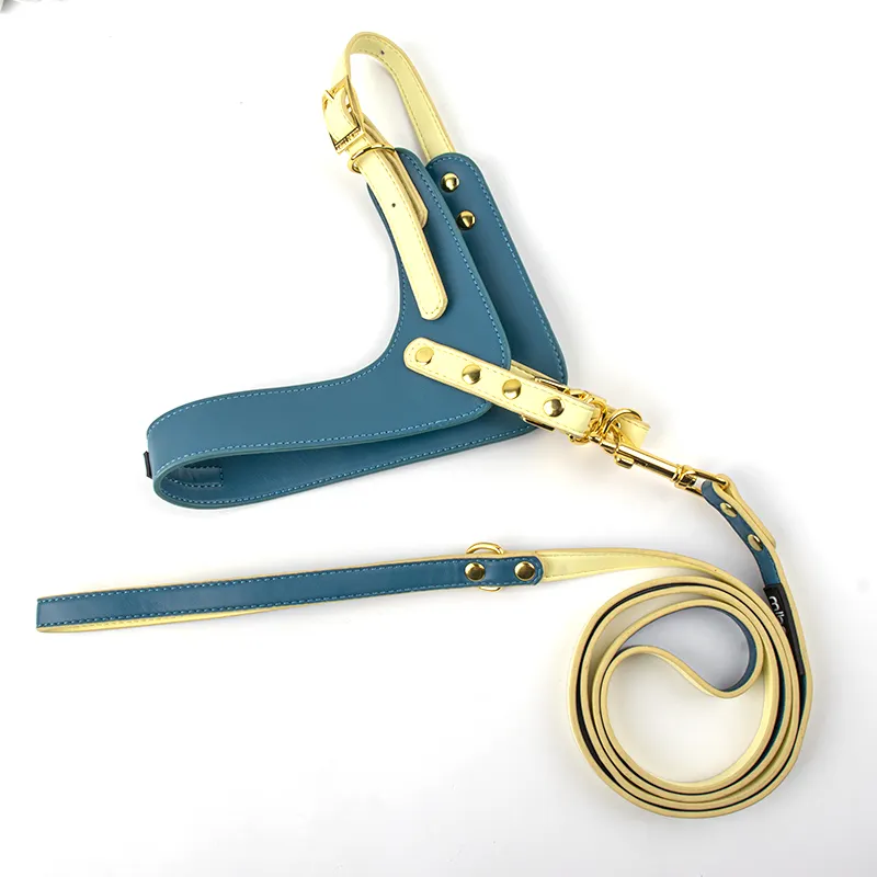 Großhandel Custom hand gefertigtes PU-Leder geschirr Blau Y-Form Custom Marke Hunde geschirr und Leine Set mit Metall nieten