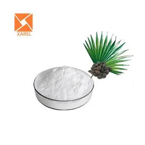 Supplément de santé 25% poudre d'acide gras total extrait de fruit de Saw Palmetto