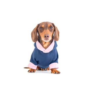 Qiqu Pet Supplies Custom New Designer Bamboo Cotton Warm Fleece <strong>Dog</strong> Hoodie Olive Green Dachshund <strong>Clothes</strong> <strong>Sausage</strong> <strong>Dog</strong> <strong>Clothes</strong> - Product Image 1