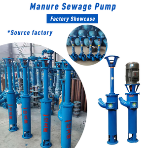 Pompe à boues verticale haute efficacité, pompe centrifuge submersible robuste à économie d'énergie pour eaux usées - Product Image 6