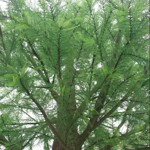 Ranting Pohon Cedar Buatan Dekorasi Dalam Ruangan Taman Kualitas Tinggi dan Daun