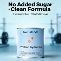 Poudre d'hydratation à la créatine, supplément d'électrolytes à la créatine, L-théanine, poudre de créatine, boisson d'hydratation pour le fitness