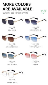 Lunettes <span class=keywords><strong>de</strong></span> <span class=keywords><strong>soleil</strong></span> rectangulaires sans monture Partagas Retro Designer avec logo personnalisé, motif léopard, protection UV400 pour hommes - Product Image 5